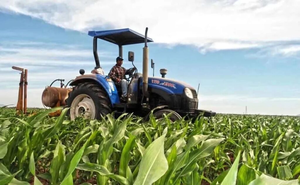 trabajos de agroindustria en el campo mexicano