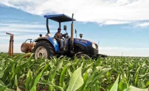 trabajos de agroindustria en el campo mexicano