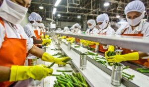 Mujeres obreras trabajando en instalaciones de Corporativo Kosmos