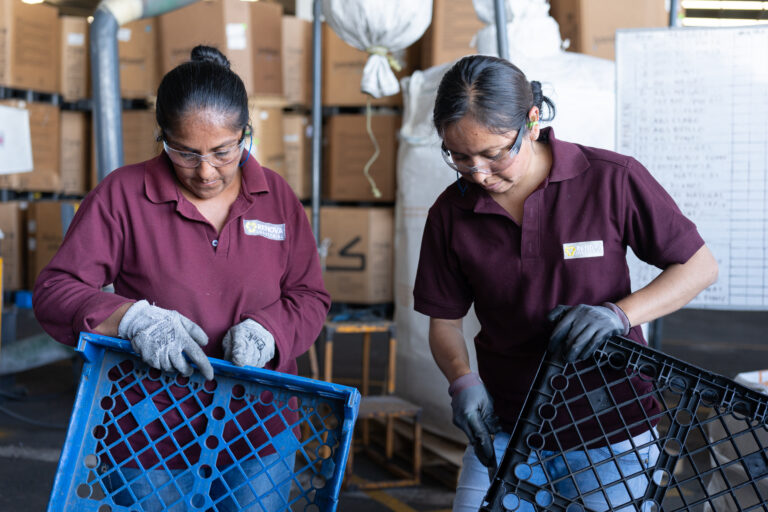Renova Industrial combate sobreproducción de plástico con soluciones efectivas