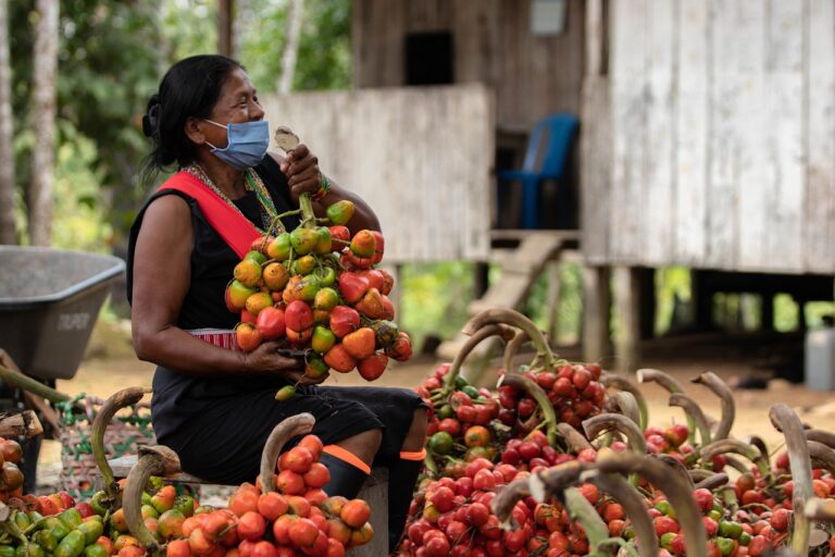 AJEMEX impulsa la economía circular para apoyar a las mujeres