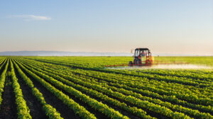 M&A agroindustriales muestran potencial: Luis Doporto Alejandre