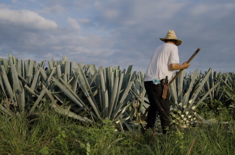 A FeliFer Macías le preocupa el campo mexicano.