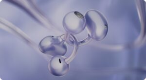 Santo Pecado y Huawei crean colección que redefine la moda