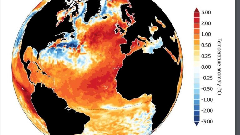 Financiamiento de fintech combatiría del cambio climático