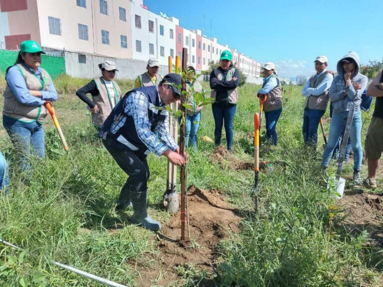 AJEMEX impulsa conservación ambiental con estrategias sostenibles