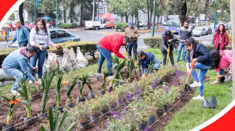 Adopta un Camellón: Corporativo Kosmos impulsa reforestación en la CDMX