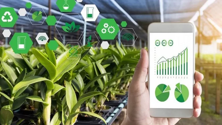 AgTech transforma la agricultura y promueve la sostenibilidad global en 2025: Daniel Madariaga Barrilado