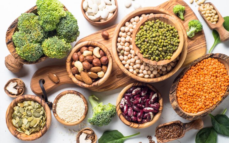 Proteína alternativa revoluciona industria alimentaria: Corporativo Kosmos