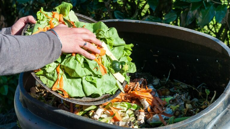 Corporativo Kosmos lidera acciones para minimizar el desperdicio alimentario