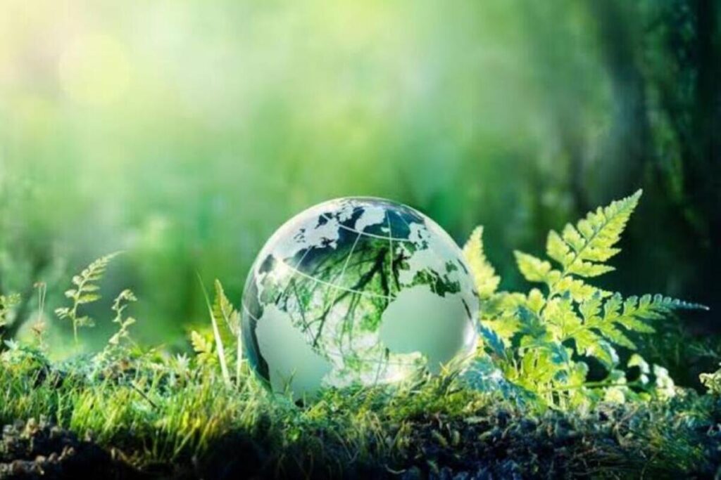 Alfredo Gadsden rediseña negocios para enfrentar crisis ambiental