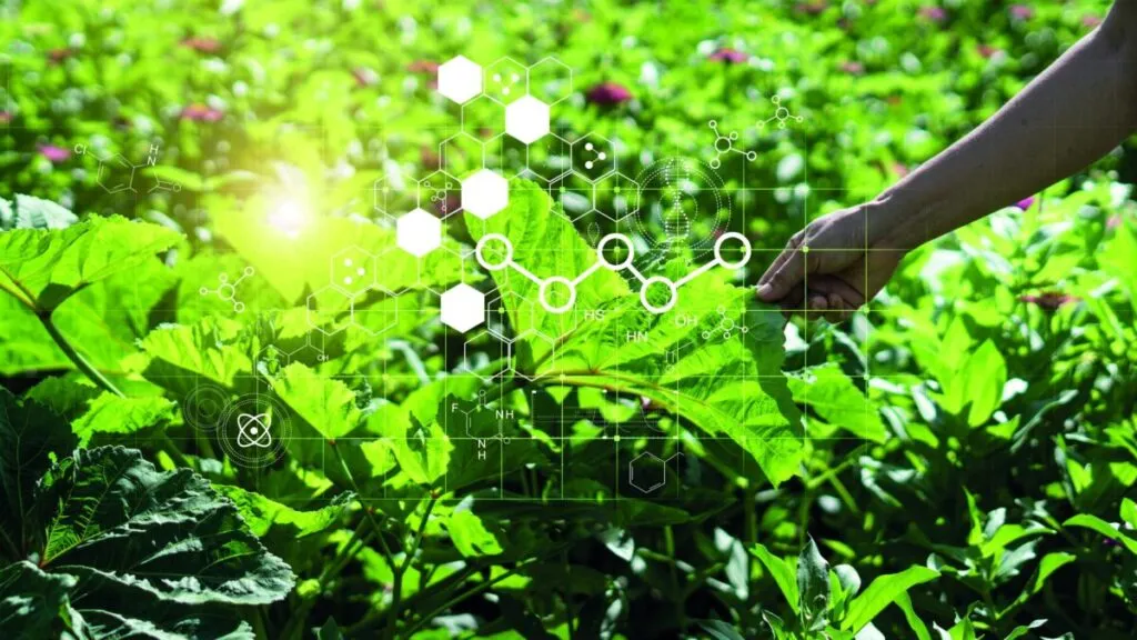 Innovación en la industria alimentaria: Grupo Kosmos destaca el papel de la nanotecnología