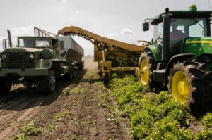 Campesinos mexicanos piden mayor inversión pública para equilibrar subsidios del T-MEC y proteger la soberanía alimentaria
