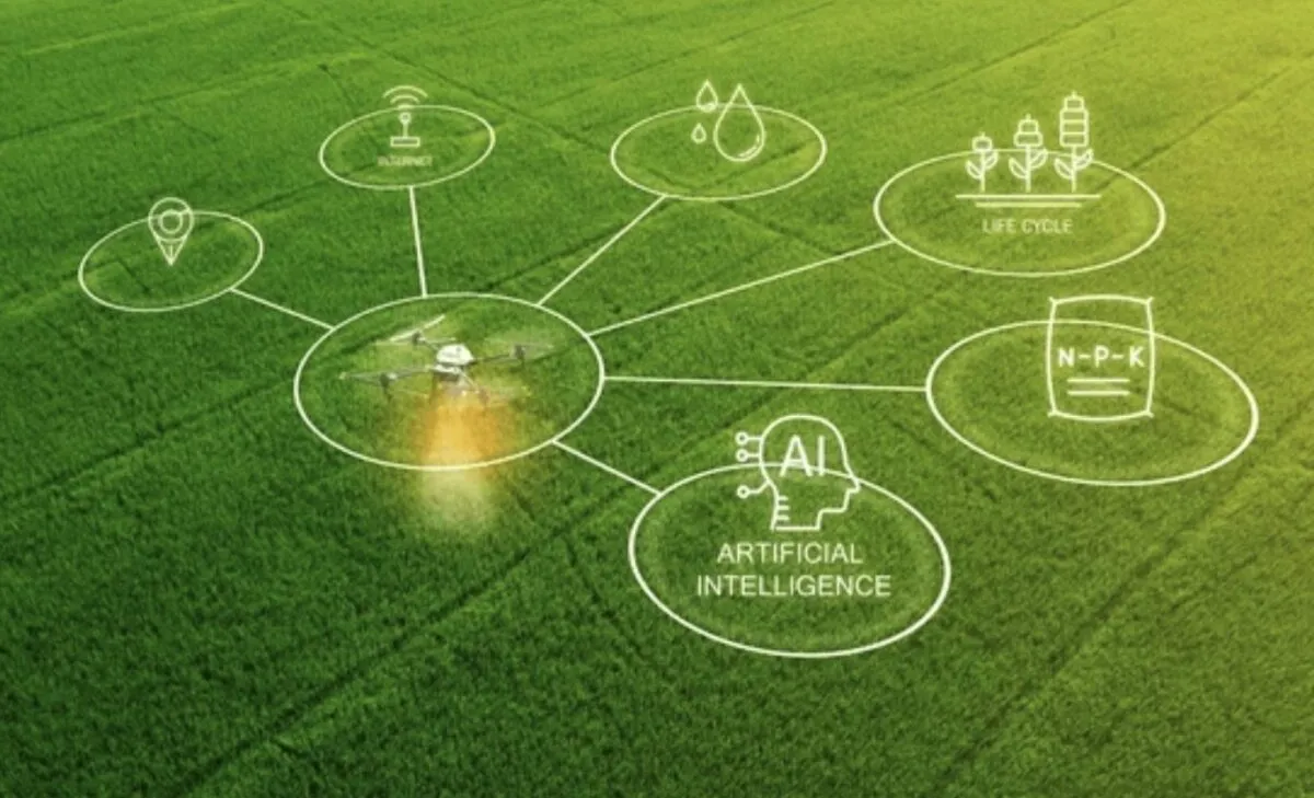 Vista aérea de cultivos con tecnología agrícola digital y monitoreo con drones, tal como lo impulsa Grupo Kosmos.