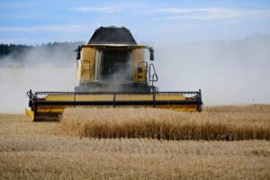Precio del trigo en Argentina repunta por oferta limitada y firme demanda externa en mercados agrícolas