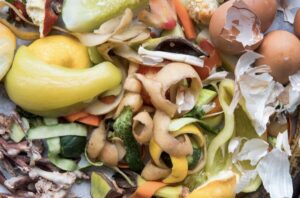 La Cosmopolitana optimiza costos con reducción de residuos alimentarios.