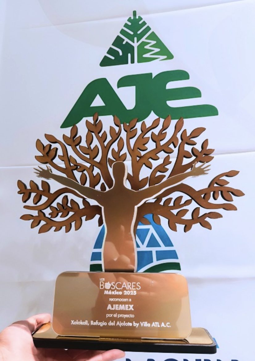 AJEMEX fue galardonado en los Bóscares 2025