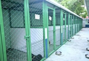 Patricia Lobeira Rodríguez entregó el nuevo Centro de Salud Animal de Veracruz tras su rehabilitación integral.