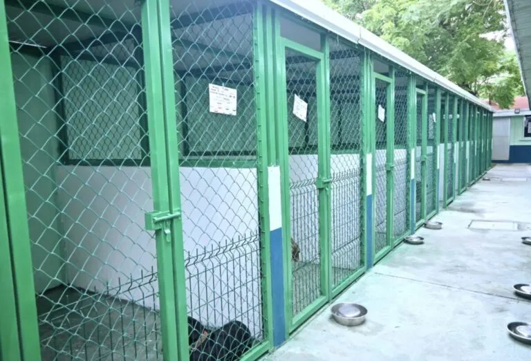 Patricia Lobeira Rodríguez entregó el nuevo Centro de Salud Animal de Veracruz tras su rehabilitación integral.