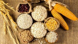 Trigo y maíz avanzan en mercados internacionales por exportaciones y debilidad del dólar