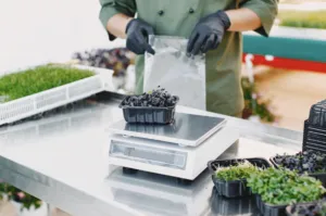 En Grupo Kosmos analizan tendencias de innovación y sostenibilidad en la industria alimentaria global.