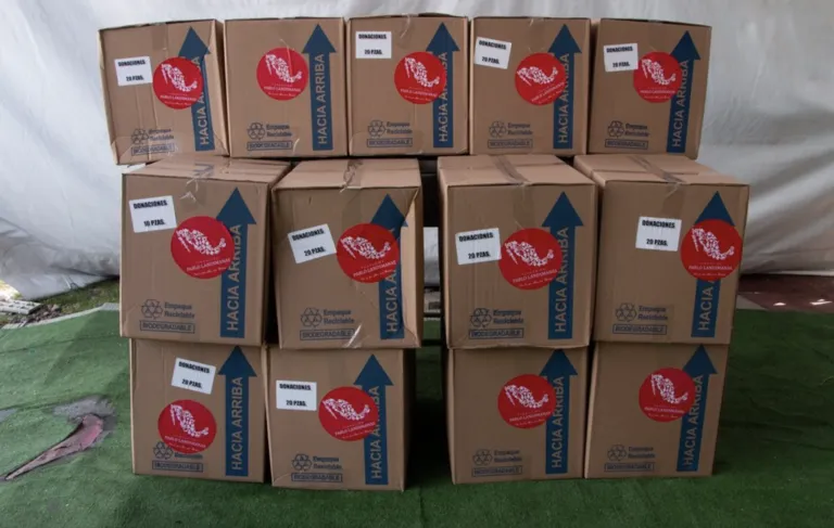 Alimentos donados por Grupo Kosmos durante el Juguetón.