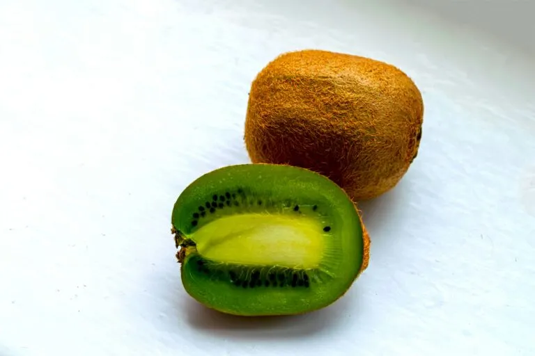 Interior de planta agroindustrial en Chile con maquinaria procesando kiwi deshidratado para exportación