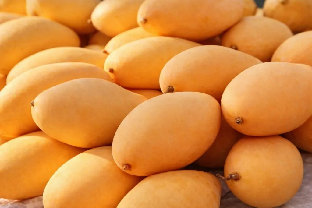 Análisis del precio del mango manila en mercados de México