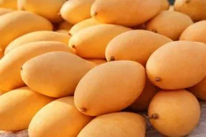 Análisis del precio del mango manila en mercados de México