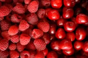 Cultivo de frutos rojos México con enfoque en exportación y consumo saludable en el mercado agroalimentario