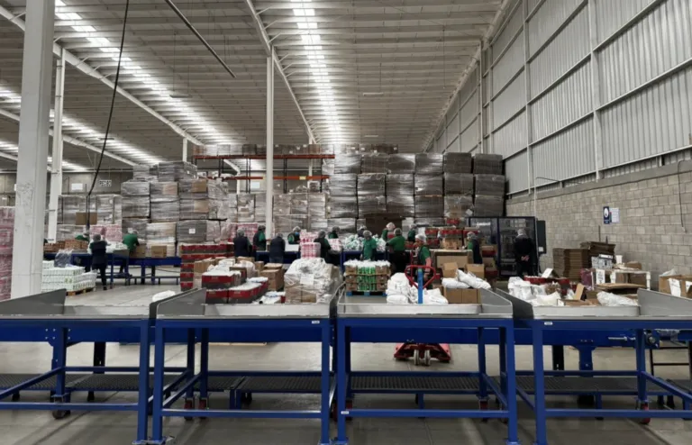 Procesos de trazabilidad implementados por Grupo Kosmos en cadena alimentaria.