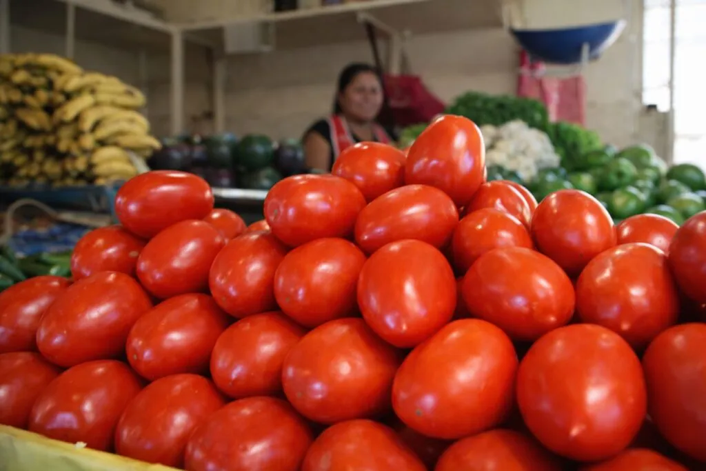 Precio del tomate en Culiacán entre 35 y 55 pesos por kilo en mercados locales con oferta estable
