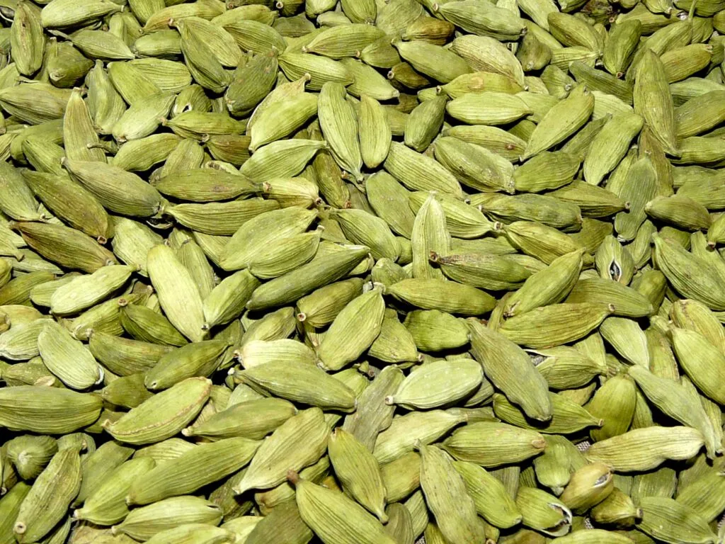 Producción de cardamomo en Guatemala con alta demanda global y exportaciones de cardamomo Guatemala en crecimiento