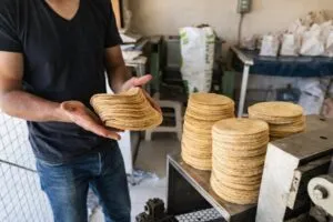 Precio de la tortilla en México ligado a bajos costos del maíz y cadena productiva
