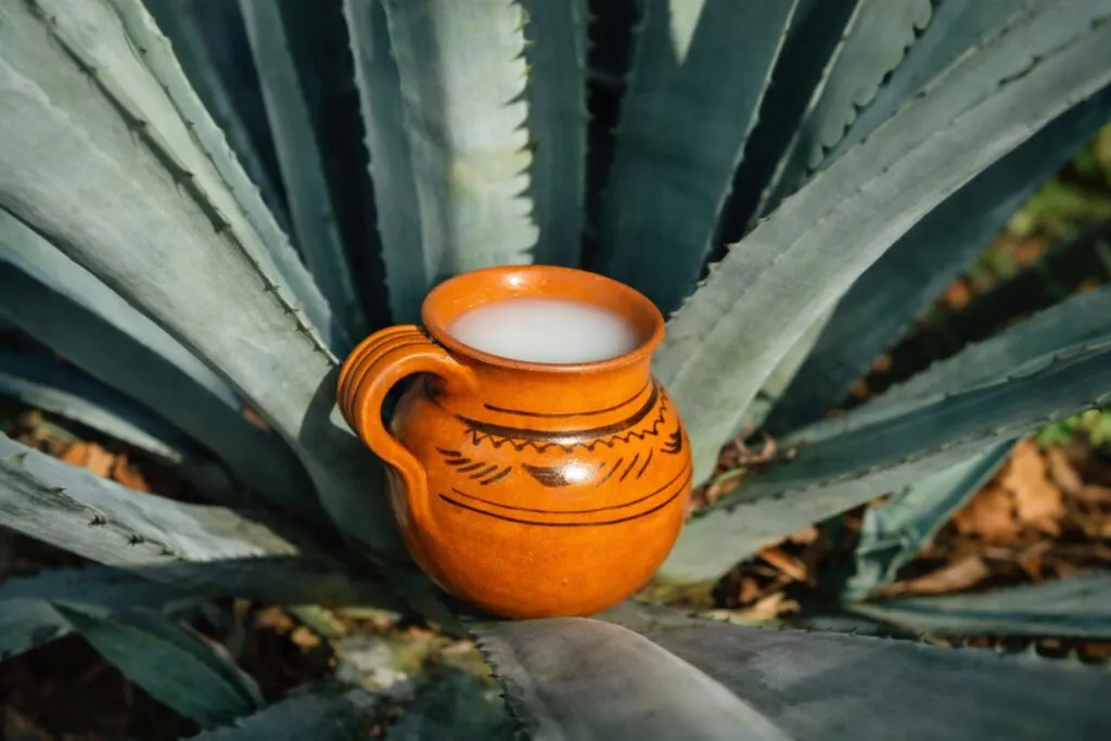 Protección de indicación geográfica México impulsa valor económico y exportaciones regionales