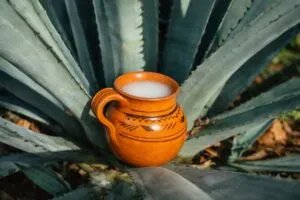 Protección de indicación geográfica México impulsa valor económico y exportaciones regionales