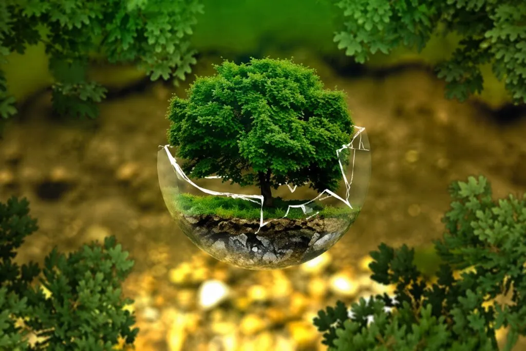 inversión en naturaleza impulsa crecimiento económico y empleo en México con restauración ambiental