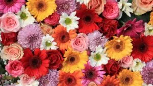 Día de las Madres aumenta ventas en restaurantes, flores, joyería y regalos en distintas ciudades de México