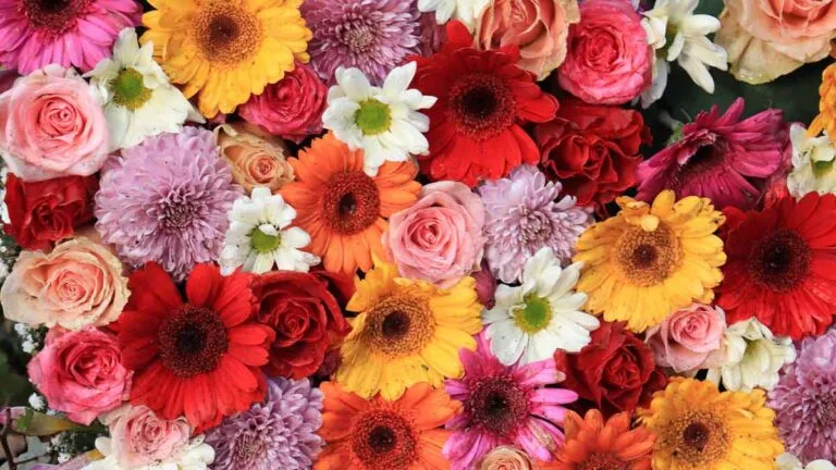 Día de las Madres aumenta ventas en restaurantes, flores, joyería y regalos en distintas ciudades de México