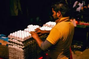 Producción de huevo en Jalisco con granjas avícolas tecnificadas y operación estable durante 2026