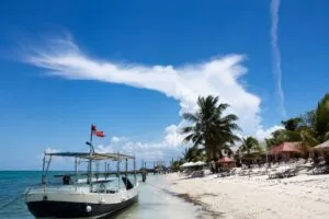 Acciones de Royal Caribbean afectadas por revisión ambiental del proyecto turístico en Mahahual México