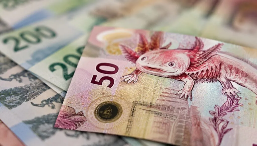 Dólar recuperó terreno frente al peso mexicano durante la primera semana de junio y reactivó el debate sobre el superpeso