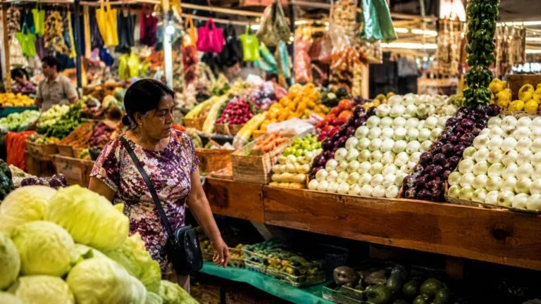 Mercados de Tulancingo con alta ocupación impulsan el comercio formal y la economía local en Hidalgo.