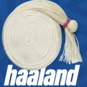 Haaland y las marcas generan una tendencia viral durante el Mundial 2026 con campañas de marketing oportunista.
