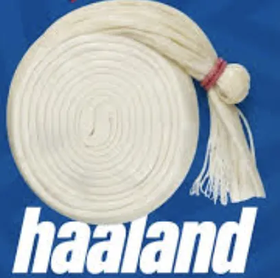 Haaland y las marcas generan una tendencia viral durante el Mundial 2026 con campañas de marketing oportunista.