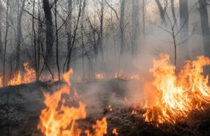 Incendios forestales en España con humo sobre bosques y efectos en la economía, el turismo y la infraestructura.