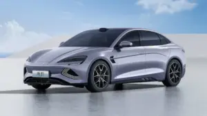 BYD y Tesla compiten por el liderazgo mundial del mercado de automóviles eléctricos.