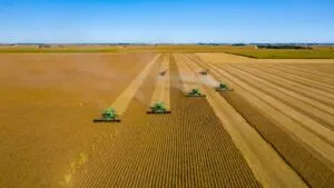 Maíz, soja y trigo ante la expectativa por el informe WASDE del USDA de agosto de 2026
