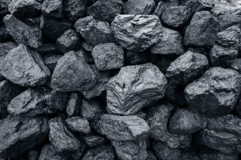 Mercados de carbono en Colombia buscan atraer inversión ambiental mediante nuevas reglas y mayor seguridad jurídica.