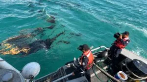 Pemex controla una fuga de hidrocarburos en Ek Balam mientras embarcaciones supervisan el ducto marino afectado.